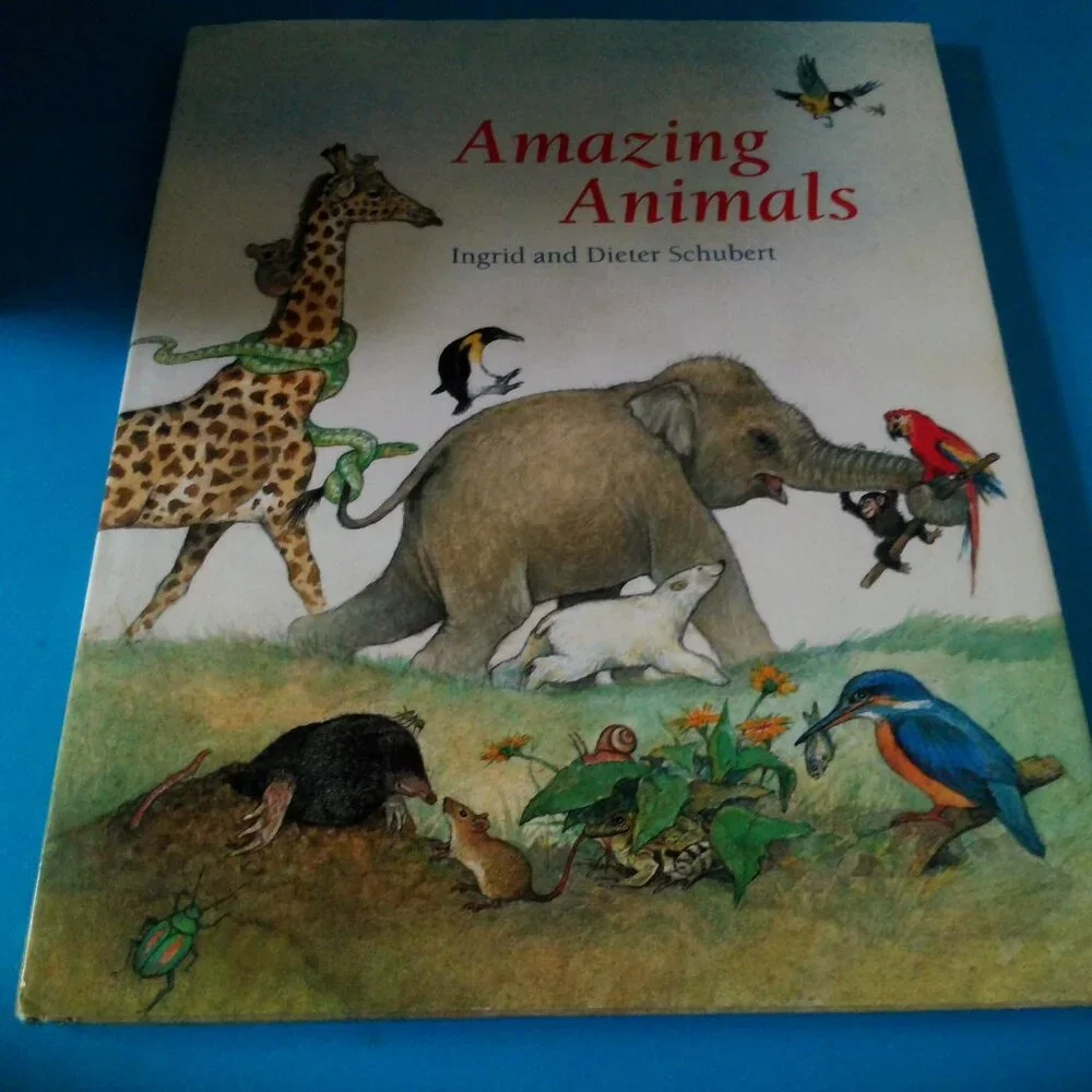 How Scary, Vacation Surprises, Trouble at Sugar Dip Well, Amazing Animals x 4